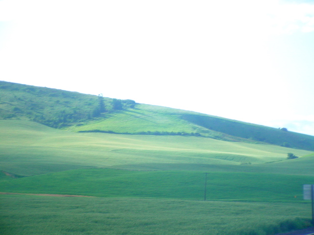 DSC00029
