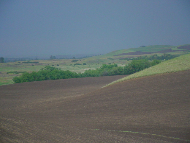 DSC00098