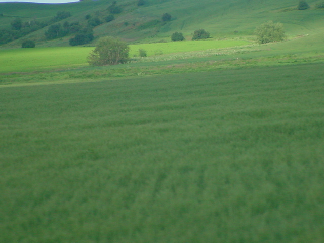 DSC00030