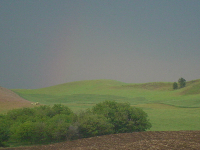 DSC00108