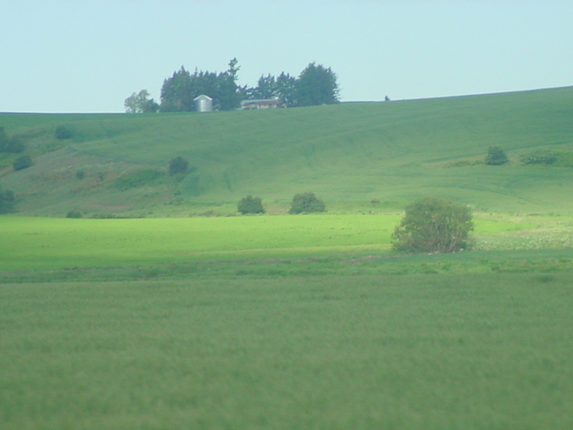 DSC00031