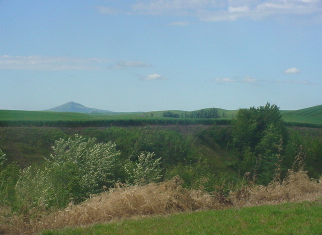 DSC00033