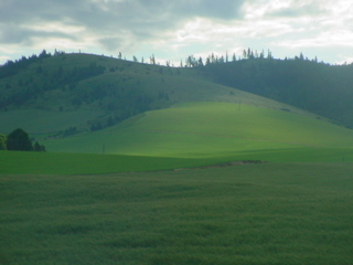 DSC00028