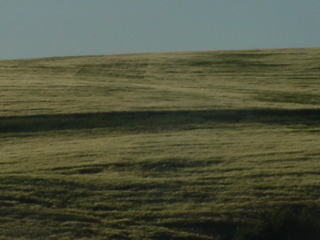 DSC00172