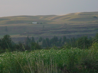 DSC00106