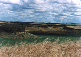 Scabland & Grass