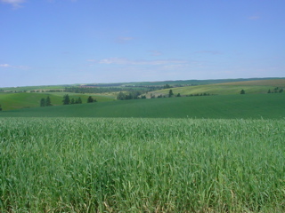 DSC00052