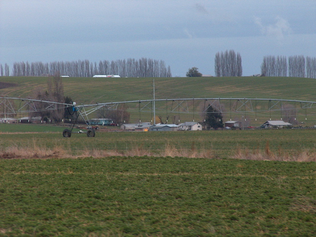 HPIM1105.JPG