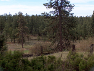 HPIM1690.JPG