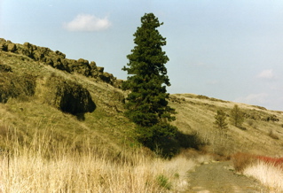 MWTrail109