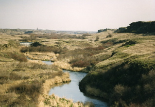 MWTrail163