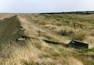MWTrail220