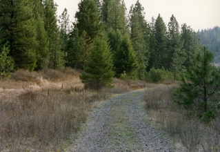 MWTrail015