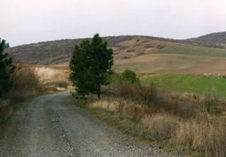 MWTrail022