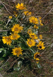 MWTrail080