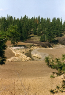 MWTrail088
