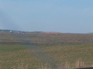 HPIM2124.JPG
