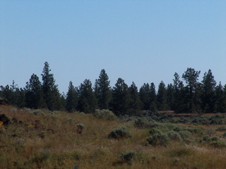 HPIM2142.JPG