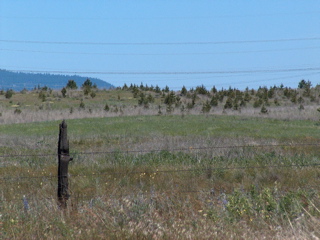 HPIM2263.JPG
