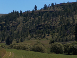 HPIM2275.JPG